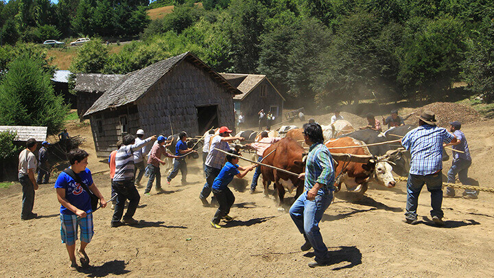 casas-martin-pescador-chiloe-tradiciones-1
